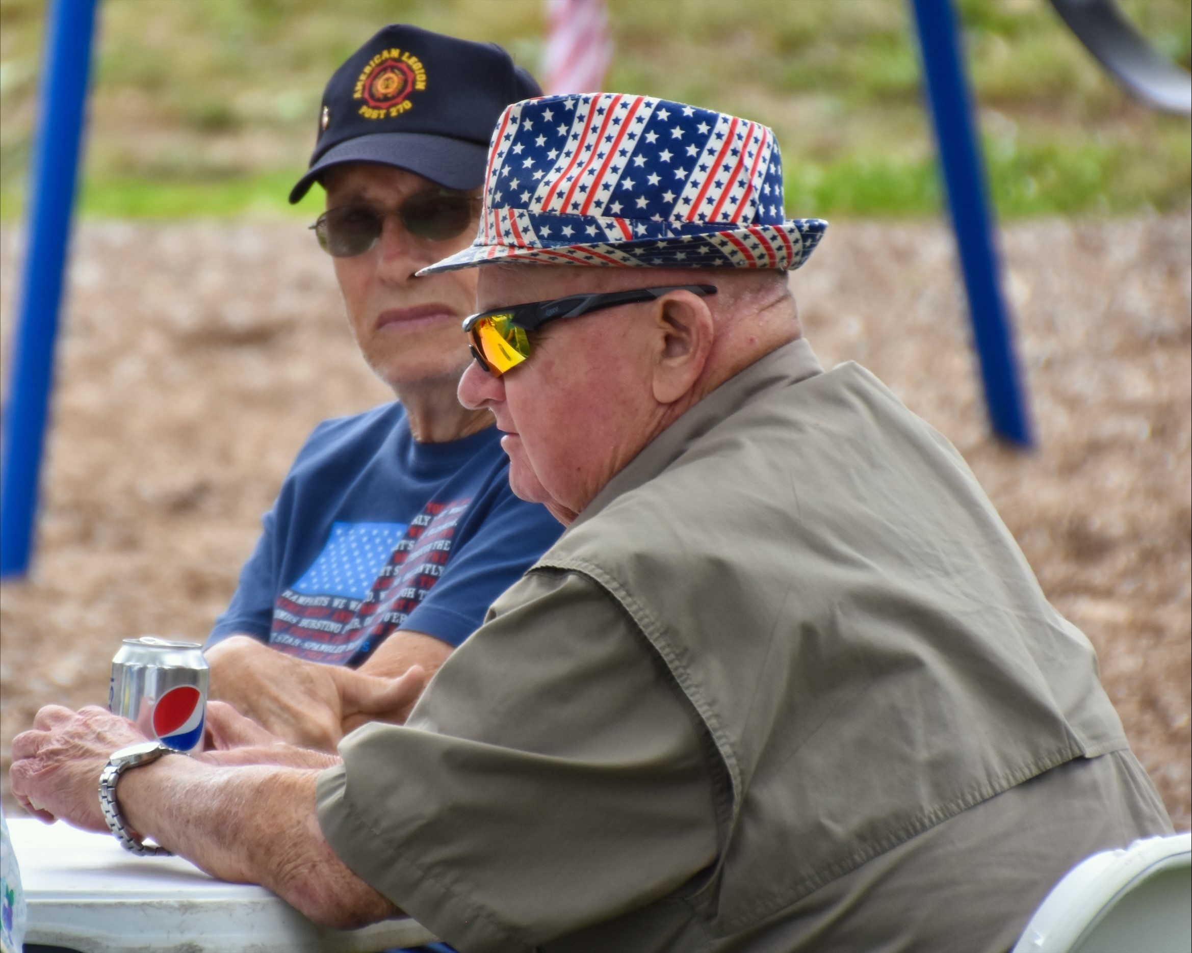 Veterans Picnic Image